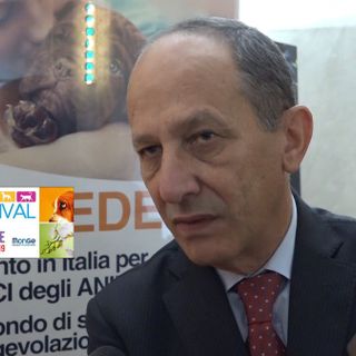 Piacenza: presentata ufficialmente PetsFestival 2019