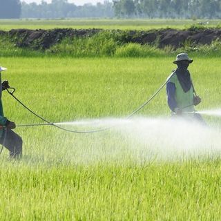 Pesticidi nelle acque: Legambiente lancia l’allarme