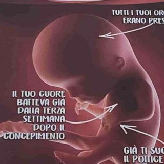 Il manifesto anti aborto rimosso a Roma rispunta nel Biellese