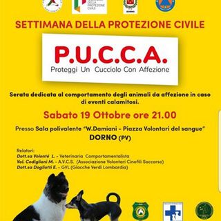 Dorno, serata dedicata agli animali di affezione nei momenti delle calamità naturali