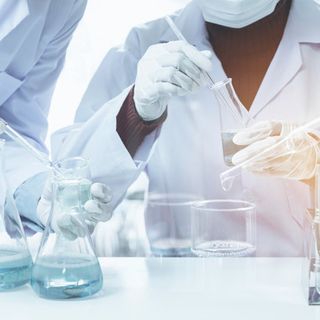 Covid-19: al San Matteo pazienti trattati con cellule mesenchimali