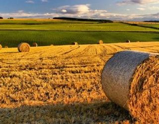 Agricoltura: boccata d’ossigeno, 20 milioni di euro per le aziende agricole lombarde