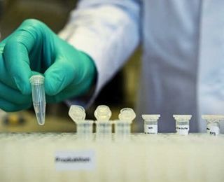 Covid, lo studio olandese: carica virale degli anziani 16 volte superiore agli under 12