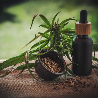Cosa potrebbe significare la legalizzazione della cannabis per il mercato del lavoro in Italia
