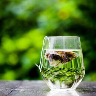 Il mio mondo #ecobio- The verde e cosmesi, di Cristina Garavaglia