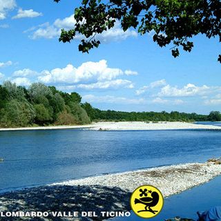 Più acqua nel lago Maggiore: una buona notizia per il Ticino e il Parco