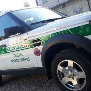 Trecate, pregiudicato travolge comandante della Polizia locale: arrestato