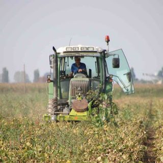 Coronavirus: AAA lavoro campi cercasi, apre sportello on line