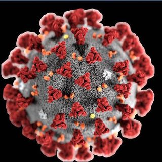 Coronavirus, 70 persone in quarantena nella provincia di Novara