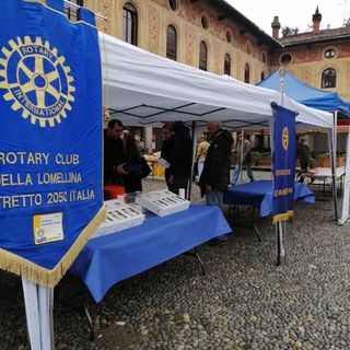 - (FOTOGALLERY) - Vigevano, successo per i volontari dei Rotary Club Vigevanesi in piazza Ducale