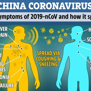 Coronavirus, salgono a 424 i contagiati: 258 in Lombardia