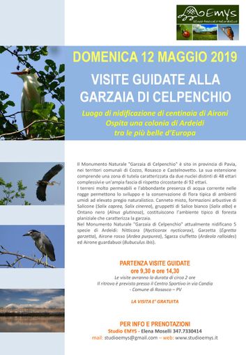 - FOTOEVENTO - a Rosasco domenica 12 maggio, visite guidate alla Garzaia di Celpenchio