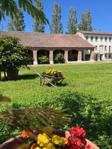 Fondazione Darefrutto: torna “Tenuta – Il Mercato della Domenica” il 10 maggio 2026 nella campagna Lomellina Fondazione Darefrutto: torna “Tenuta – Il Mercato della Domenica” il 10 maggio 2026 nella campagna Lomellina