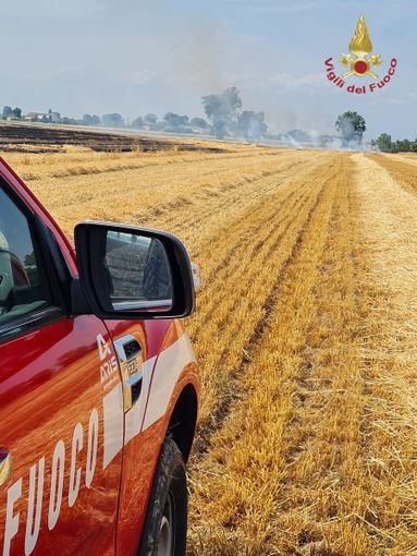 Pinarolo Po: incendio in un campo di grano trebbiato e sterpaglie. Vigili del fuoco in azione per domare le fiamme Pinarolo Po: incendio in un campo di grano trebbiato e sterpaglie. Vigili del fuoco in azione per domare le fiamme