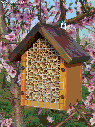 Vigevano: in arrivo le casette delle api Vigevano: in arrivo le casette delle api