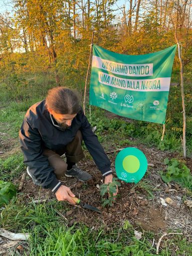 FOTO. Mede, Festa dell'albero: piantate due querce al vivaio del nuovo bosco urbano