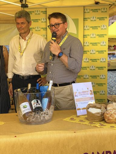 Clima, scatta in ritardo la raccolta del riso: -10% produzione anche in provincia di Pavia