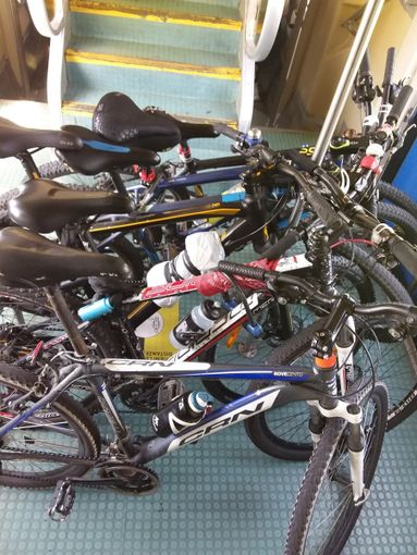 Trenord: "Stop alle bici a bordo treno, troppi assalti pregiudicano la sicurezza" Trenord: "Stop alle bici a bordo treno, troppi assalti pregiudicano la sicurezza"