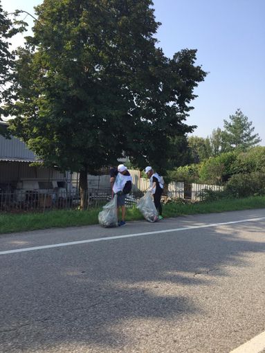 - FOTONOTIZIA - Vigevano: volontari al lavoro per ripulire corso La Malfa - FOTONOTIZIA - Vigevano: volontari al lavoro per ripulire corso La Malfa
