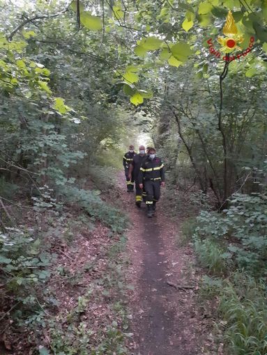 Gambolò: si perde in un bosco mentre cerca funghi, intervengono i Vigili del fuoco e lo ritrovano Gambolò: si perde in un bosco mentre cerca funghi, intervengono i Vigili del fuoco e lo ritrovano