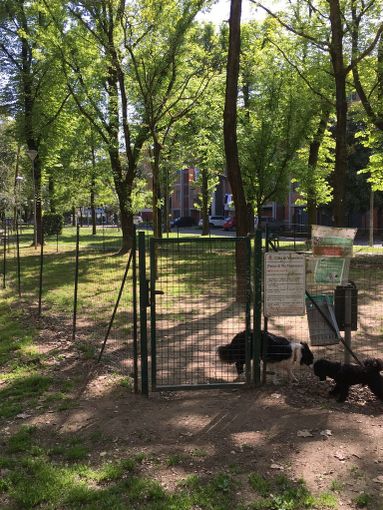 Vigevano: Il Pd scrive una mozione sul degrado dei parchi pubblici cittadini