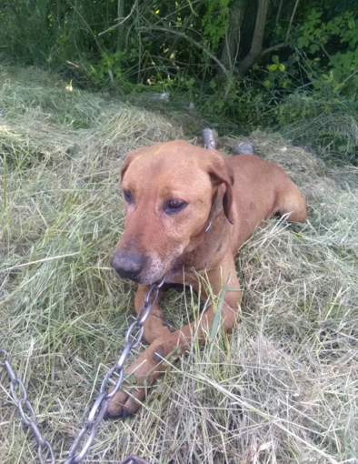 Ecco come è stato trovato Ecco come è stato trovato