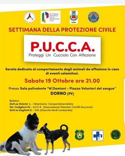 Dorno, serata dedicata agli animali di affezione nei momenti delle calamità naturali Dorno, serata dedicata agli animali di affezione nei momenti delle calamità naturali
