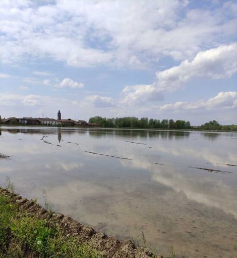 Maltempo, Coldiretti ottiene deroga cruciale per le sementi di riso 2024 Maltempo, Coldiretti ottiene deroga cruciale per le sementi di riso 2024