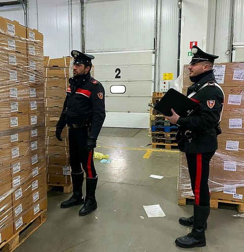 Pavese: truccando sul peso della merce, trafugavano ingenti quantità di pesce dall’azienda del loro datore di lavoro, arrestate tre persone