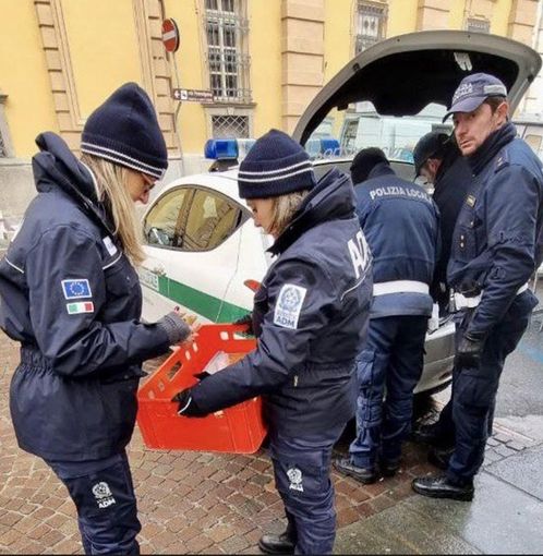 Vercelli: materiale elettrico, giocattoli, cosmetici nocivi, sequestro al mercato e in un negozio etnico