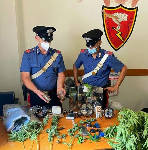 Cava Manara: serra di marijuana artigianale a domicilio, denuciata una coppia