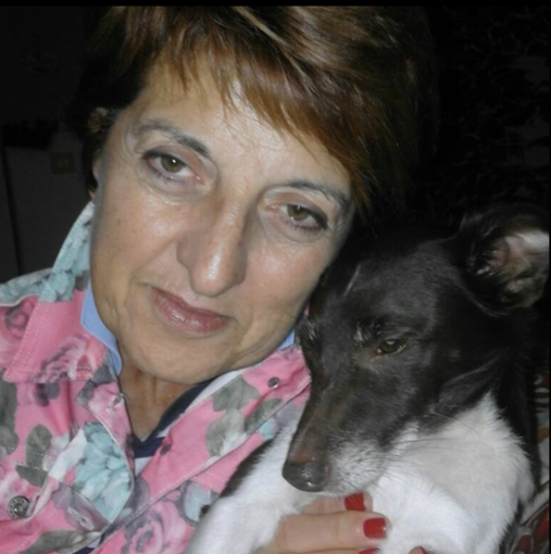 redazione online Vercelli