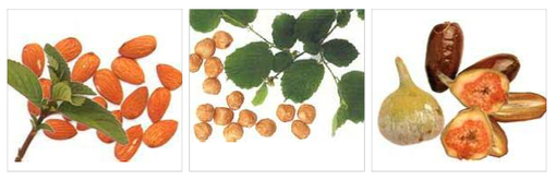 Gambolò, Museo Archeologico Lomellino: aperitivo preistorico e apertura straordinaria per la 20° Sagra del Fagiolo Borlotto