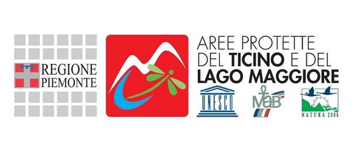 Contest fotografico #PARCHITLM20 nelle Aree Protette