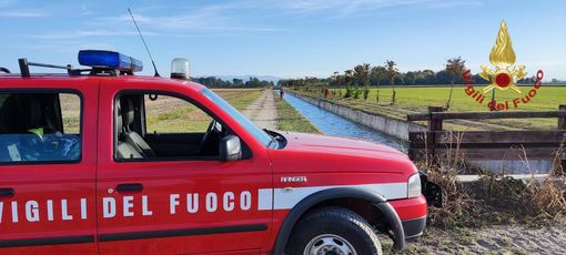 Gropello Cairoli: daino cade in un canale artificiale pieno d'acqua con sponde in cemento, messo in salvo dai Vigili del fuoco