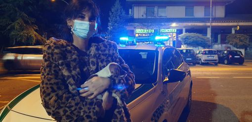 Magenta: abbandonato in mezzo ai rovi, cucciolo di cane messo in salvo. Il racconto di Serena (VIDEO)