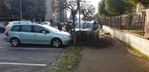 Corbetta: colto da malore alla guida si schianta contro un albero, due cittadini gli praticano il massaggio cardiaco