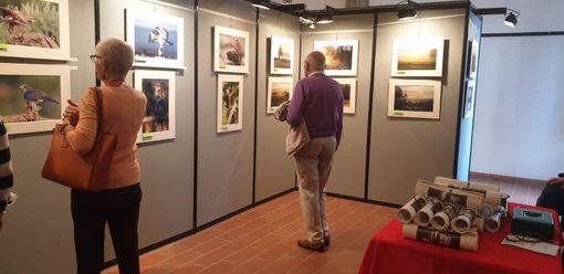 Il gruppo “Fotocineamatori” di Garlasco compie 50 anni dal 1969 un marchio di garanzia per la città Il gruppo “Fotocineamatori” di Garlasco compie 50 anni dal 1969 un marchio di garanzia per la città