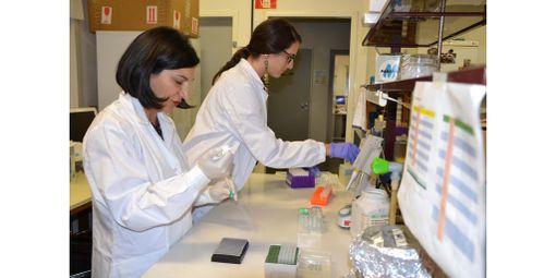 Università di Pavia: Il 16 febbraio parte l'iniziativa: "Bioleaders, investire in cono-scienza Università di Pavia: Il 16 febbraio parte l'iniziativa: "Bioleaders, investire in cono-scienza