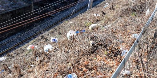 foto generica di repertorio foto generica di repertorio