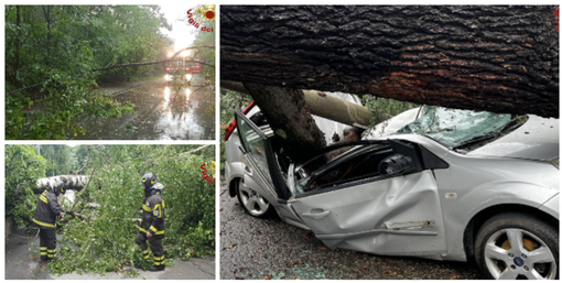 Il maltempo presenta il conto: nel Varesotto 230 interventi di soccorso. Centinaia di alberi caduti e 20 persone soccorse Il maltempo presenta il conto: nel Varesotto 230 interventi di soccorso. Centinaia di alberi caduti e 20 persone soccorse
