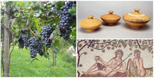 LOMELLINA AMBIENTE - La Storia del Vino - LOMELLINA AMBIENTE - La Storia del Vino -