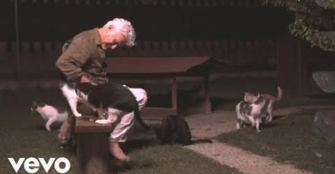 Ron celebra l'uscita dell'album "Sono un figlio" con il singolo "I gatti". Il videoclip girato a "Miciopolis" Ron celebra l'uscita dell'album "Sono un figlio" con il singolo "I gatti". Il videoclip girato a "Miciopolis"