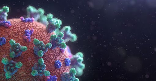Coronavirus, i comuni con più di 35 contagi in provincia di Pavia al 25 maggio