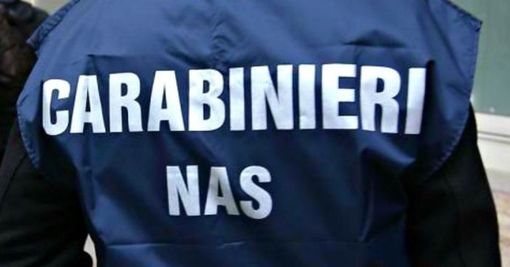 Pavia, irregolarità in due ristoranti: attività sospesa e sanzioni da 65mila euro Pavia, irregolarità in due ristoranti: attività sospesa e sanzioni da 65mila euro