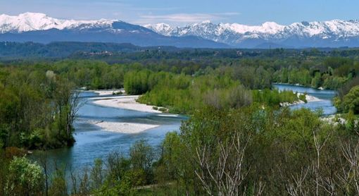 Insieme per pulire il Parco del Ticino