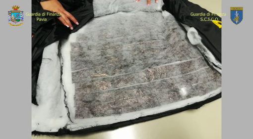 50 chili di coca dal Sudamerica, quindici arresti della Gdf tra Milano e Pavia 50 chili di coca dal Sudamerica, quindici arresti della Gdf tra Milano e Pavia