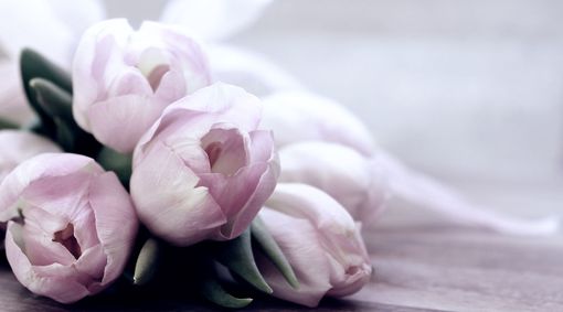 Mille occasioni di festa: ma cosa suggerisce il galateo dei fiori?