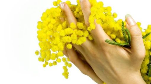Vigevano: un incontro alla biblioteca civica &quot;Mastronardi&quot; per la festa della Donna