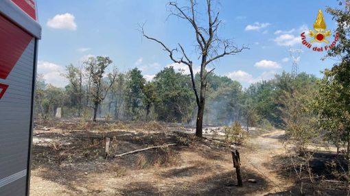 Tre ettari di bosco a fuoco a San Martino di Trecate Tre ettari di bosco a fuoco a San Martino di Trecate